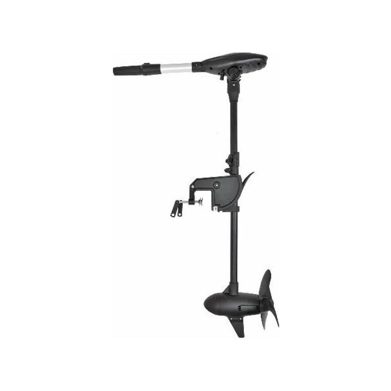 MOTEUR HASWING PROTRUAR-G 3.0 110 LBS – Image 2