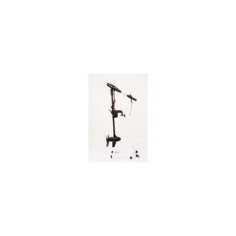 MOTEUR HASWING PROTRUAR-G 3.0 110 LBS – Image 6